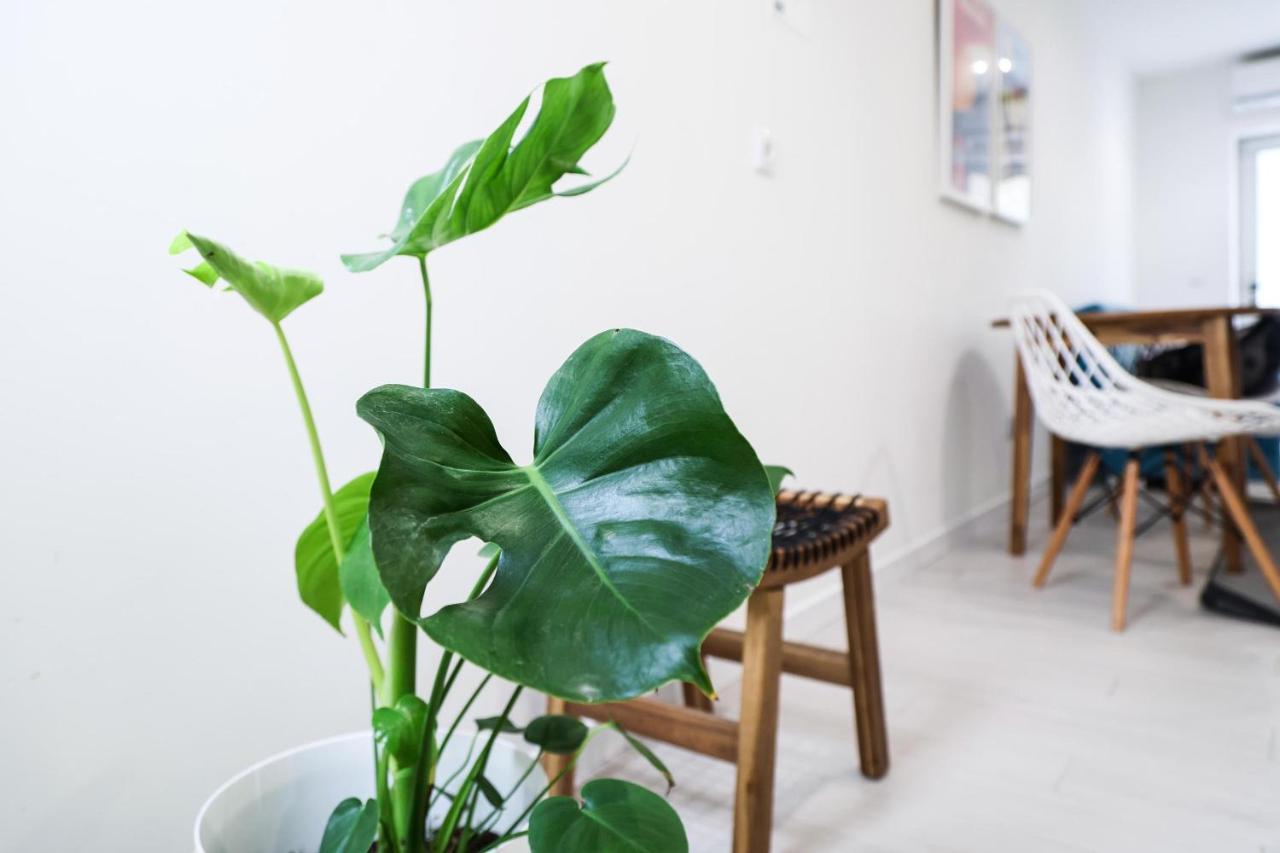 Casa Da Candida One Place, Many Things Apartment *